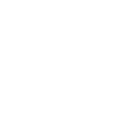 Ensicon